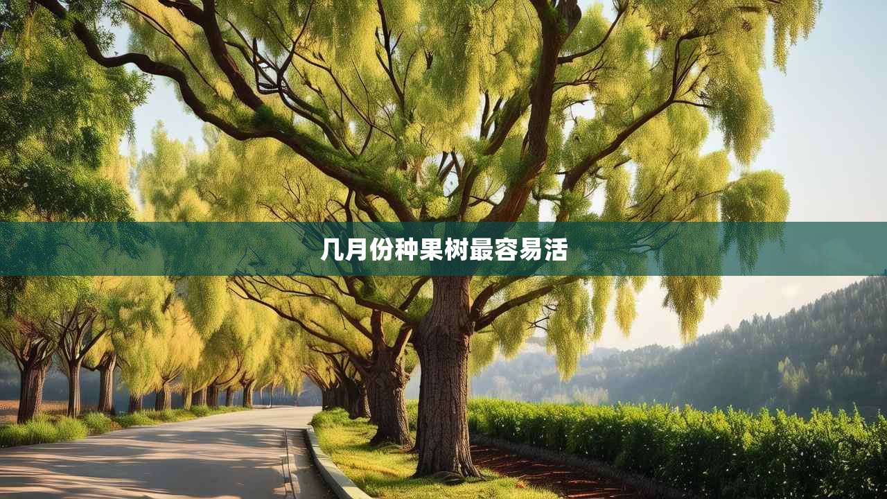 2几月份种果树最容易活