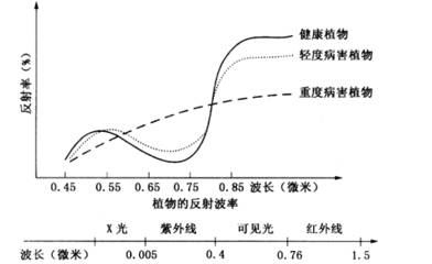 如何通过环境条件判断病害？