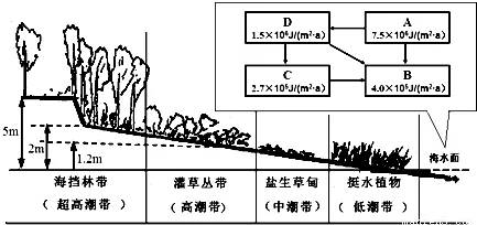 如何根据土壤类型选择植物？