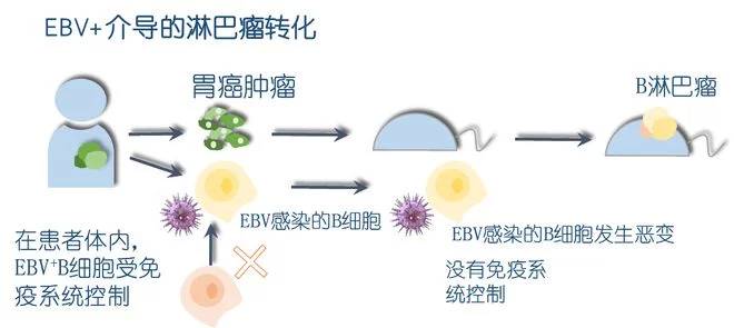 病原微生物防治案例