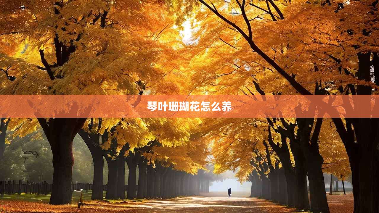 2琴叶珊瑚花怎么养