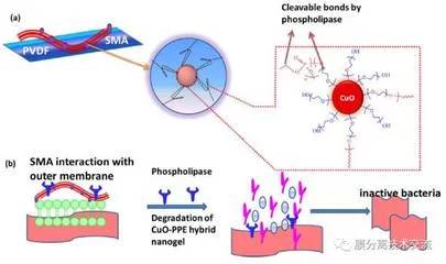 生物制剂防治病虫害的原理是什么？