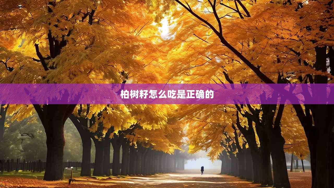 2柏树籽怎么吃是正确的