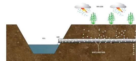 排水排盐的技术要点介绍