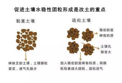 土壤团粒结构改良案例