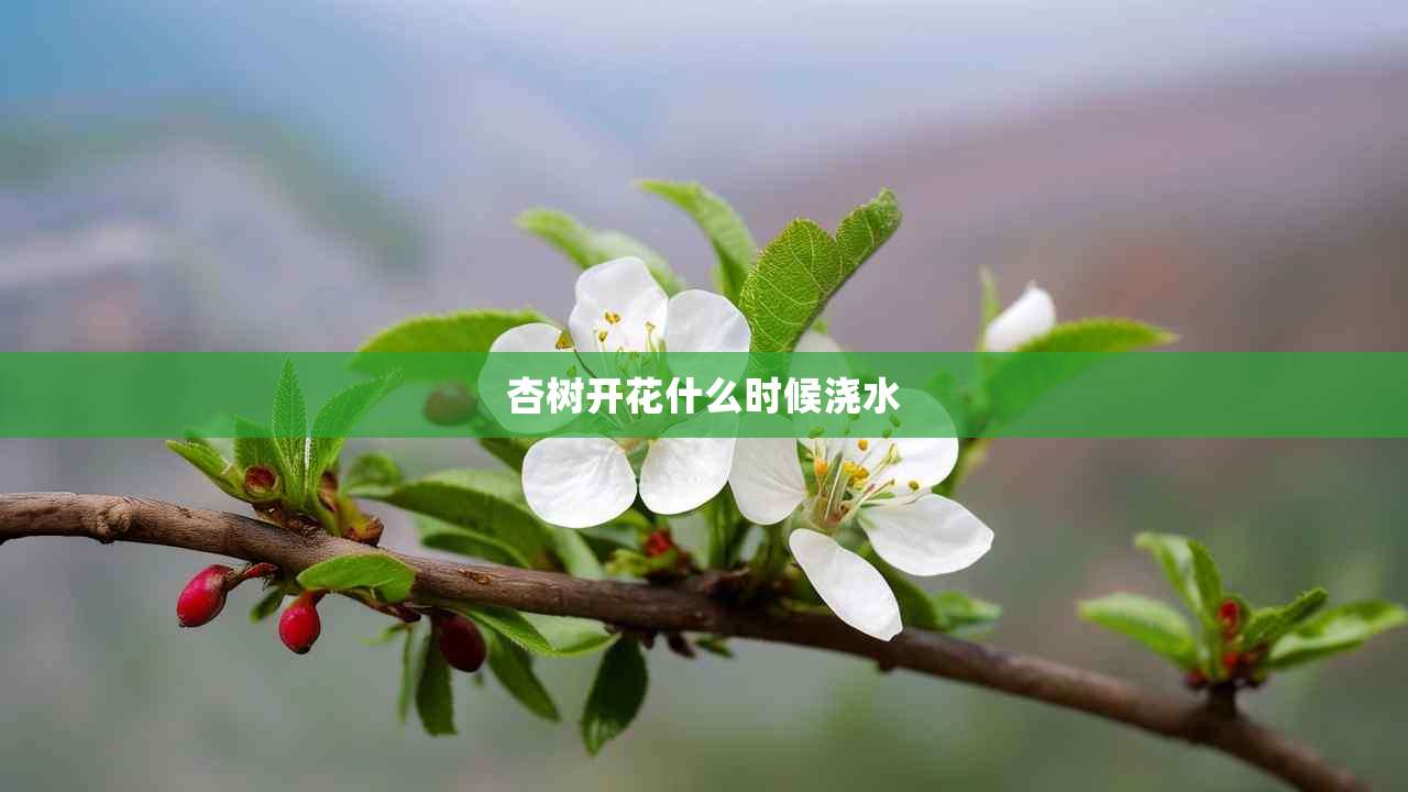 2杏树开花什么时候浇水