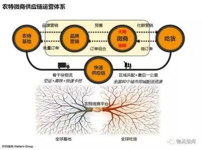 特产电商营销案例分析