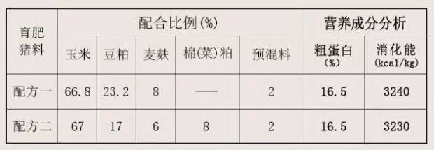 不同动物阶段营养需求差异