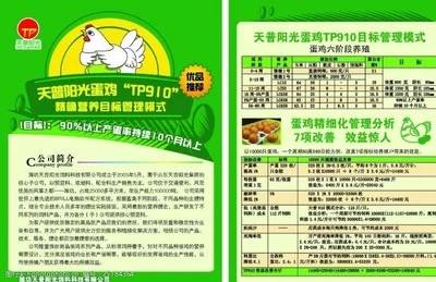 精细饲料配方设计案例分析