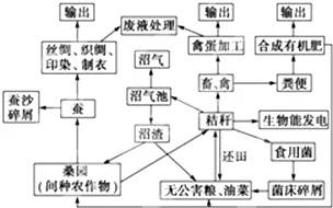 养殖场生产流程优化案例