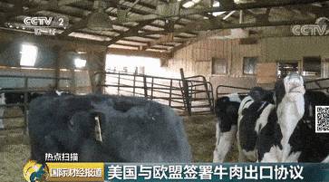 国际牛肉市场的进出口政策