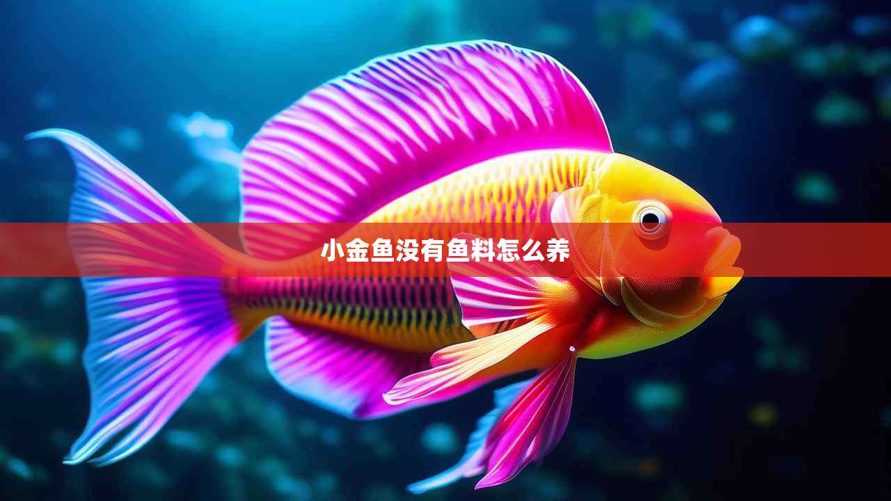 小金鱼没有鱼料怎么养