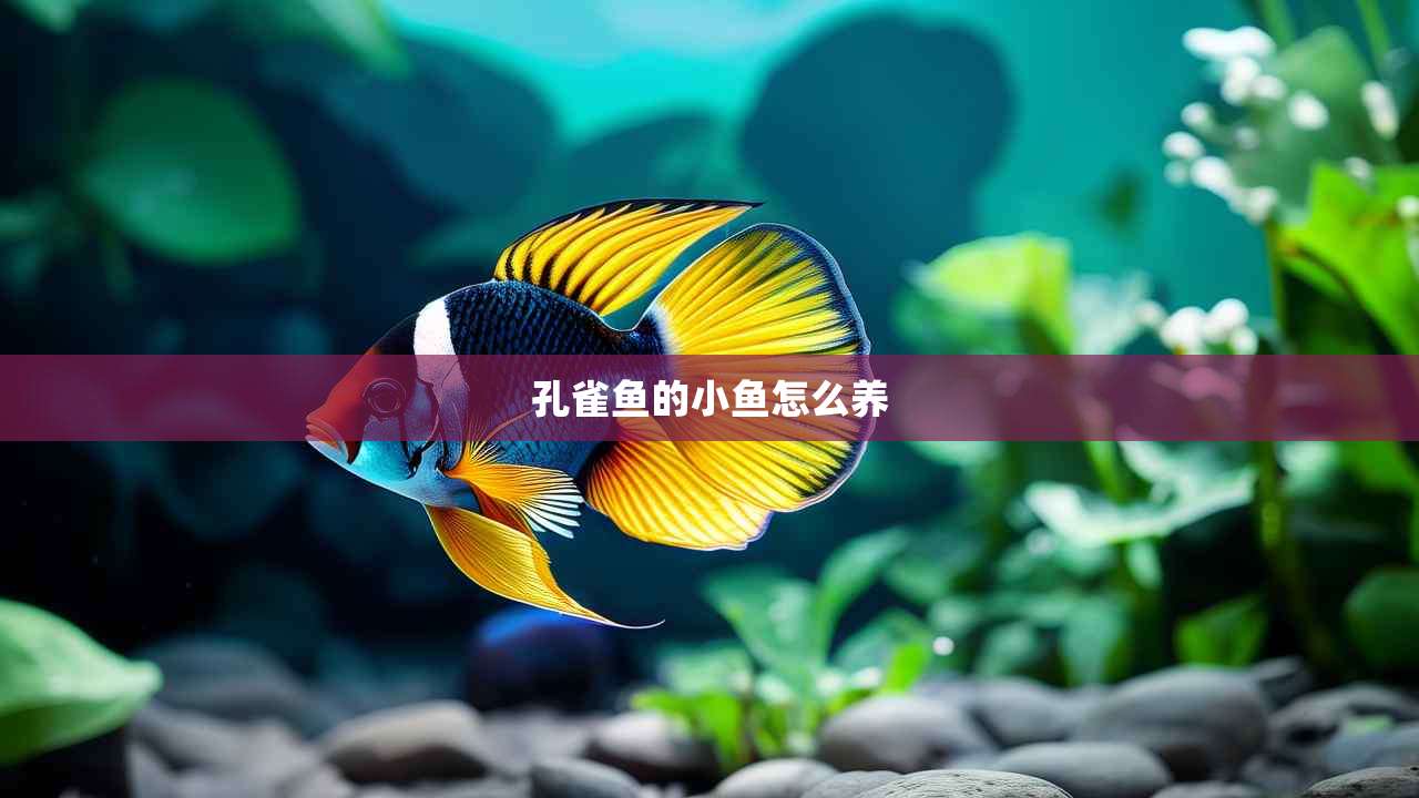 孔雀鱼的小鱼怎么养