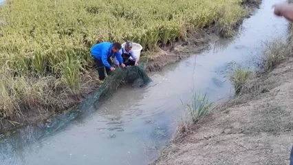 鳌虾可以和鱼一起养吗