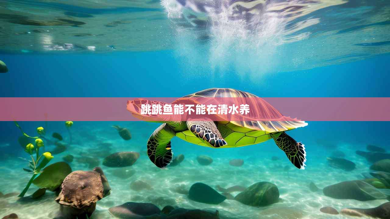 跳跳鱼能不能在清水养