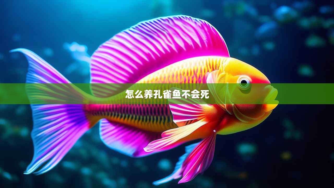 怎么养孔雀鱼不会死