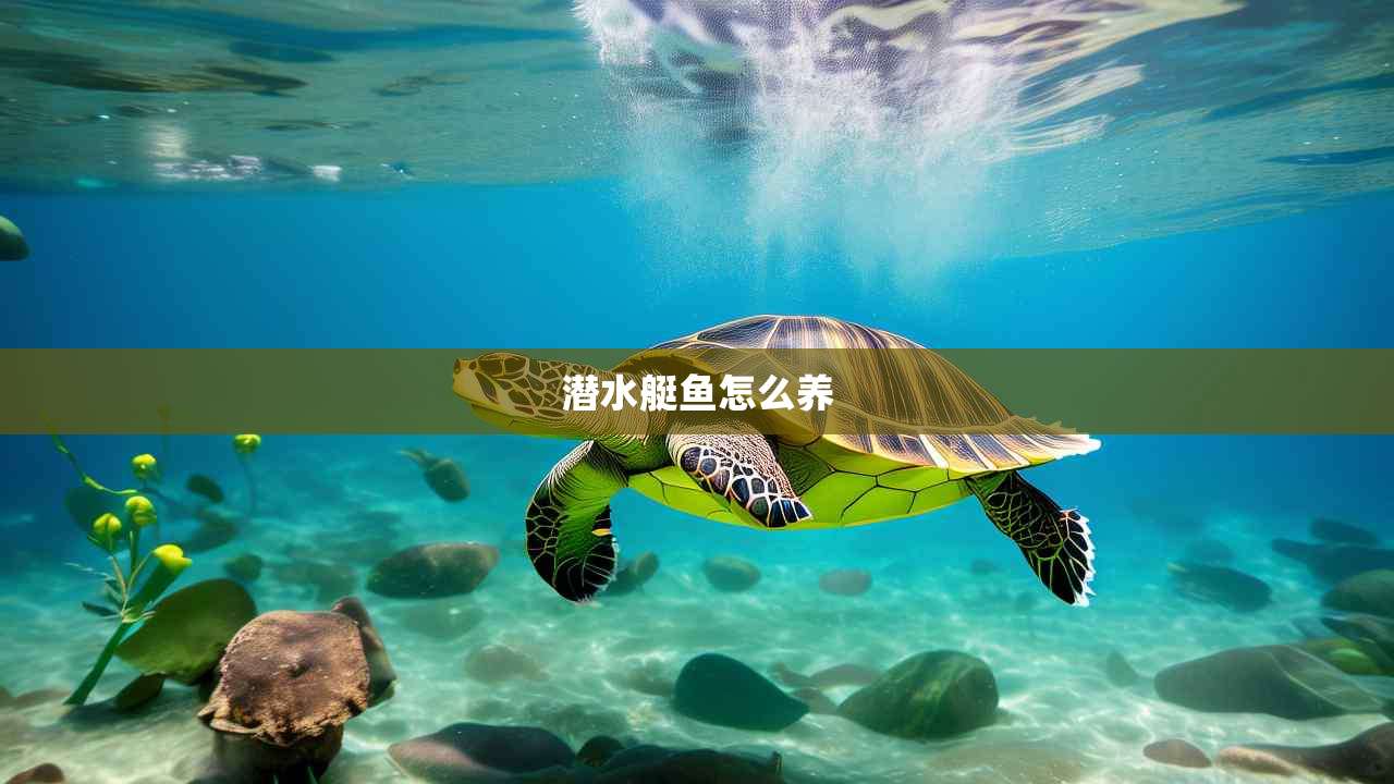 潜水艇鱼怎么养