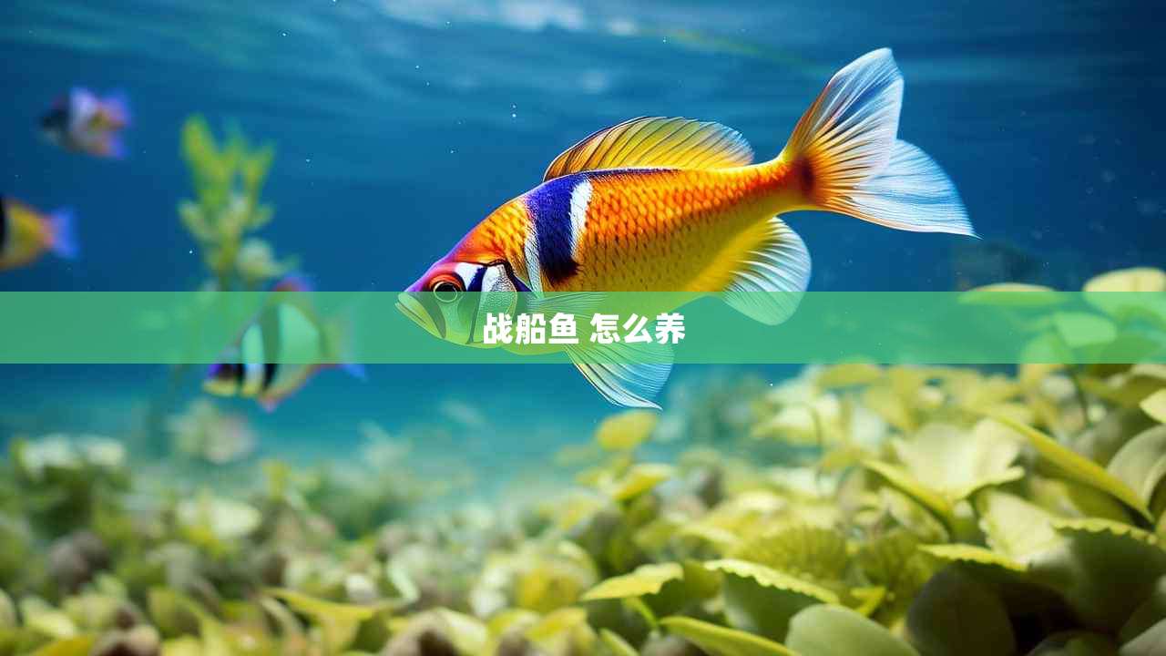 战船鱼 怎么养