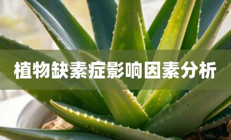 植物缺素症影响因素分析