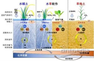 土壤覆盖对土壤微生物的影响