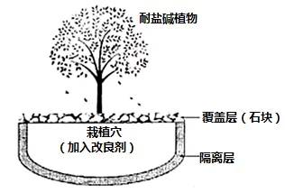 不同地区土壤覆盖技术对比