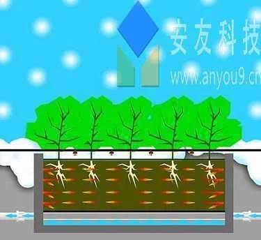 冬季植物保温材料选择