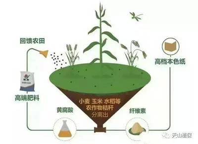 不同植物对肥料的吸收差异