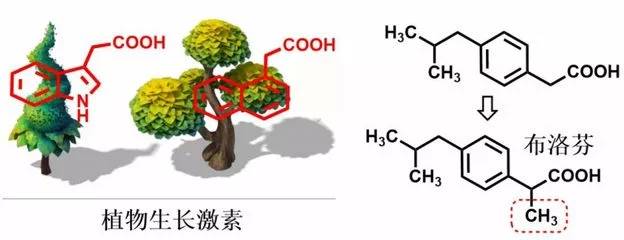 天然植物生长激素的来源